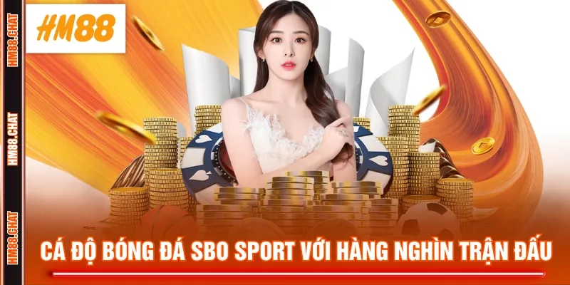 Cá độ bóng đá SBO Sport với hàng nghìn trận đấu
