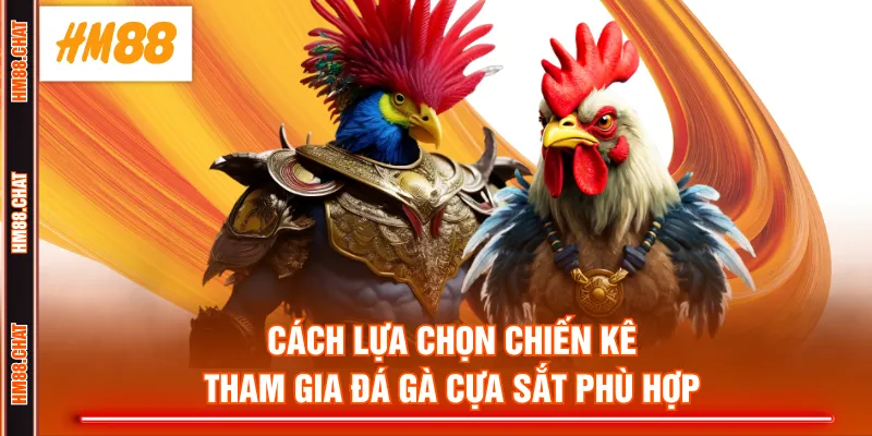 Cách lựa chọn chiến kê tham gia đá gà cựa sắt phù hợp