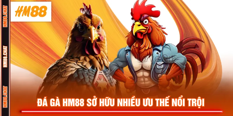 Đá Gà HM88 sở hữu nhiều ưu thế nổi trội