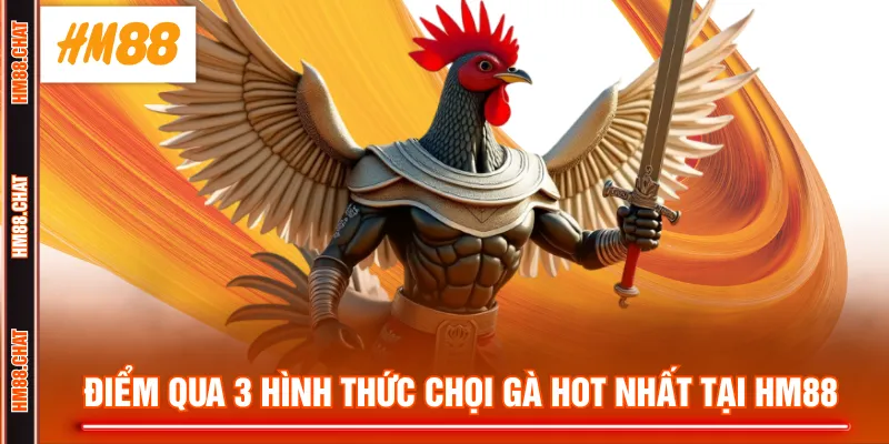 Điểm qua 3 hình thức chọi gà hot nhất tại HM88