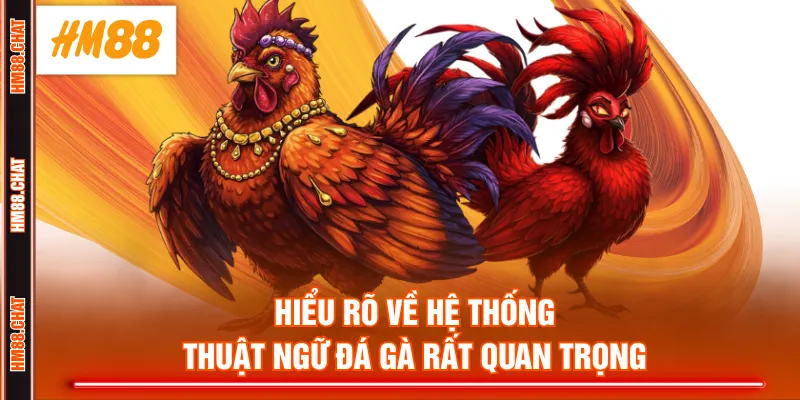 Hiểu rõ về hệ thống thuật ngữ đá gà rất quan trọng