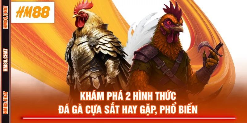 Khám phá 2 hình thức đá gà cựa sắt hay gặp, phổ biến