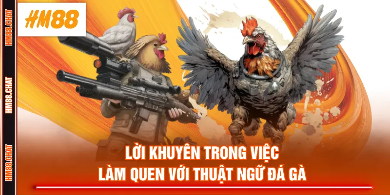 Lời khuyên trong việc làm quen với thuật ngữ đá gà