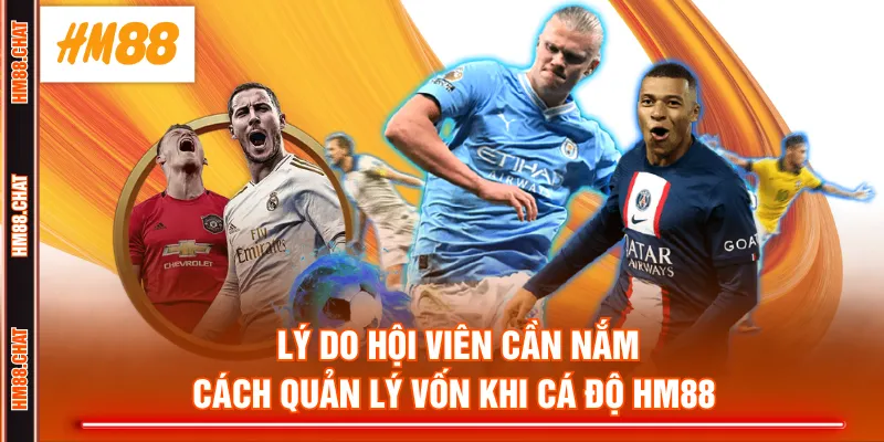 Lý do hội viên cần nắm cách quản lý vốn khi cá độ HM88