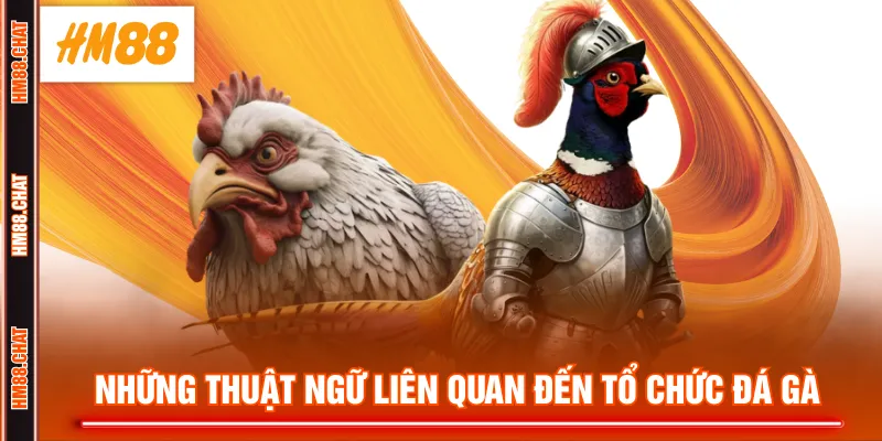 Những thuật ngữ liên quan đến tổ chức đá gà