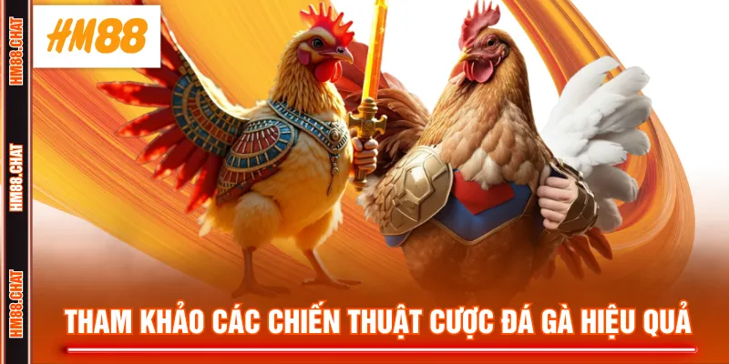 Tham khảo các chiến thuật cược đá gà hiệu quả