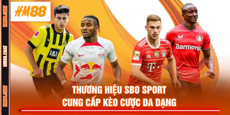 Thương hiệu SBO Sport cung cấp kèo cược đa dạng