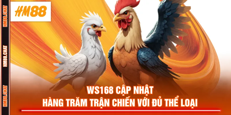 WS168 cập nhật hàng trăm trận chiến với đủ thể loại